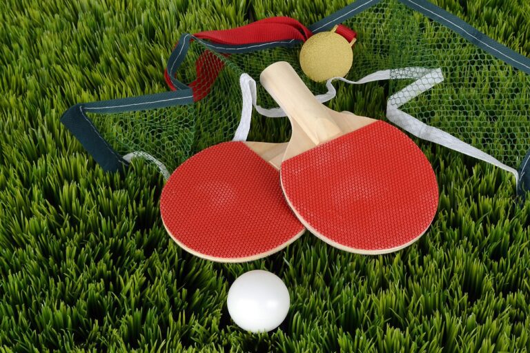 el abc de las palas de ping pong